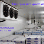 Thiết kế Và lắp đặt kho lạnh bảo quản sữa Uy Tín
