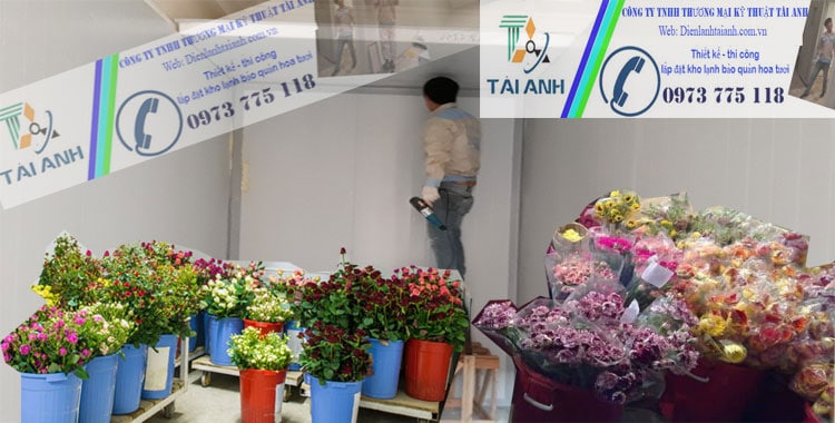 Thiết kế - lắp đặt kho lạnh bảo quản hoa tươi chất lượng cao