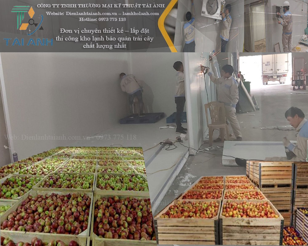 Dịch vụ lắp đặt kho lạnh bảo quản trái cây tốt nhất