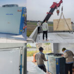 Thi công kho lạnh bảo quản thịt nhập khẩu Cty CDT Bình Minh Hải Dương