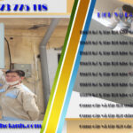 Đơn vị lắp đặt kho lạnh công nghiệp uy tín nhất Tại Thanh Hoá