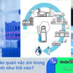 Quy trình bảo quản vắc xin trong kho lạnh như thế nào?