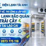 Thi công & Lắp đặt kho lạnh bảo quản trái cây tại Lào Cai